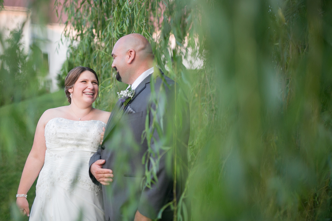 Bride and groom by the willow at Stoltzfus Homestead