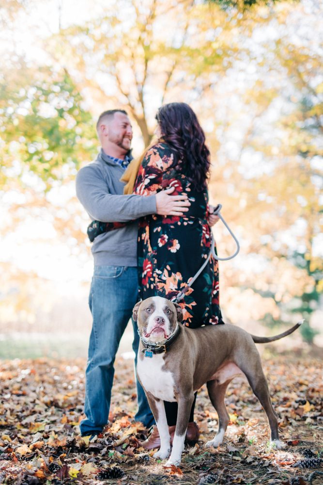 Codorus State Park engagement session photo with a dog under the fall colored trees